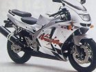 Kawasaki ZX 600R Ninja